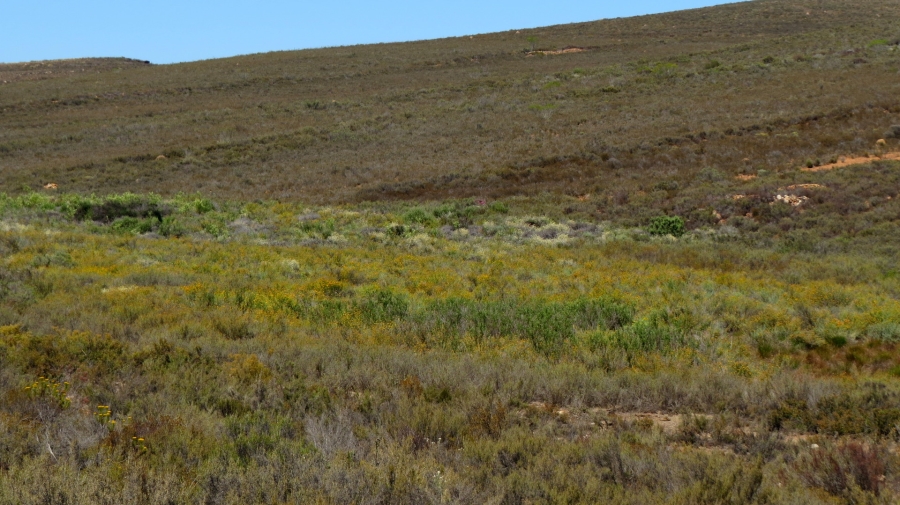 Commercial Property for Sale in Montagu Rural Western Cape